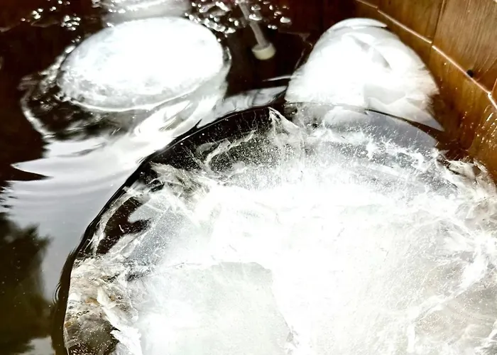 Cztery Zywioly Guest house